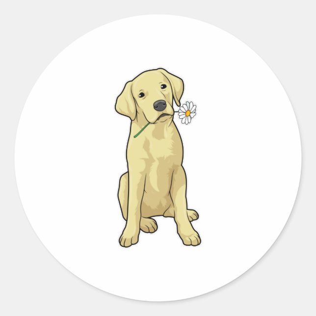 Sticker Rond Labrador Daisy (Devant)