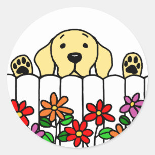 Sticker Rond Labrador jaune vous observant
