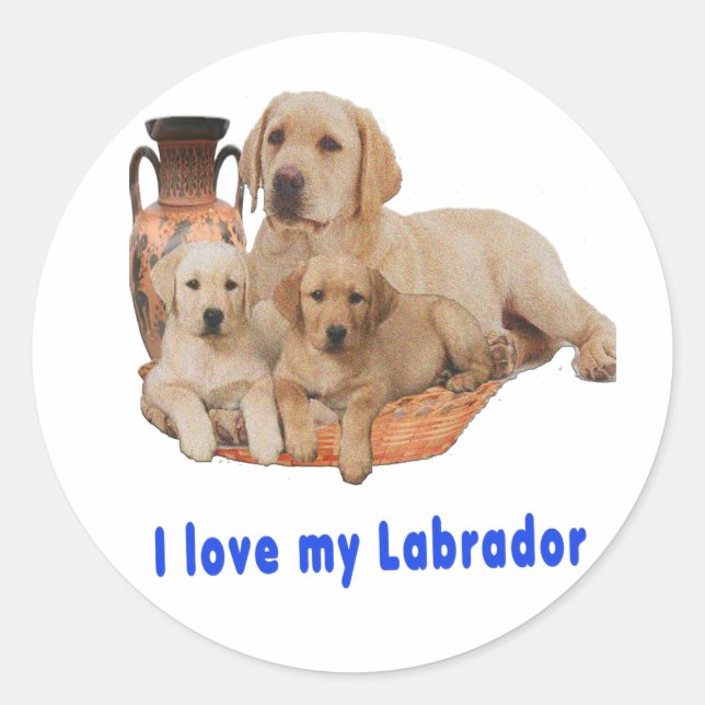 Sticker Rond Labrador Retriever (Devant)