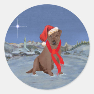 Sticker Rond Labrador Retriever Chocolat Noël