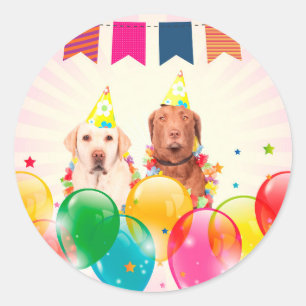 Sticker Rond Labrador Retriever Dog Balloons Anniversaire