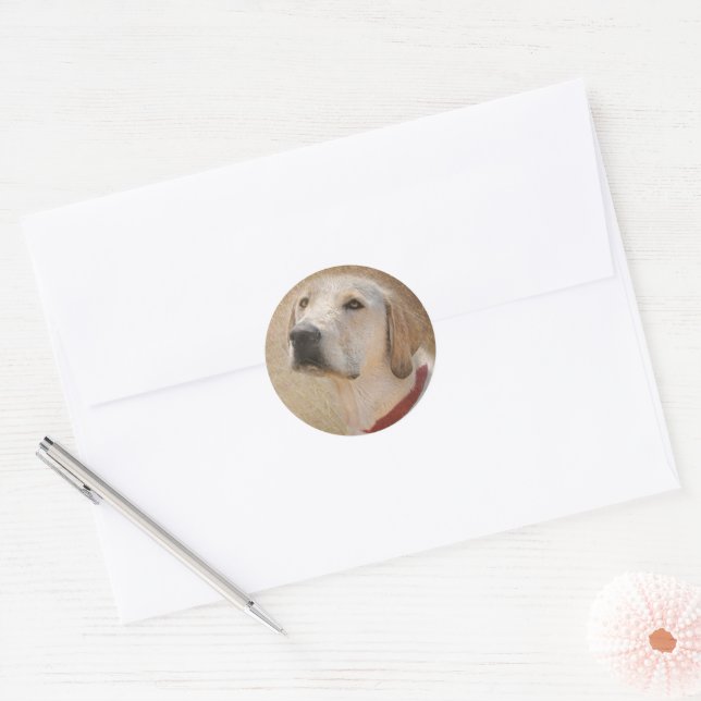 Sticker Rond Labrador Retriever jaune (Enveloppe)
