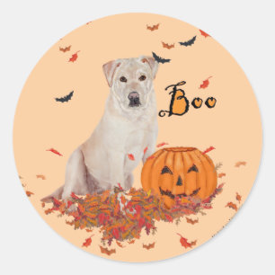Sticker Rond Labrador Retriever Jaune Boo!