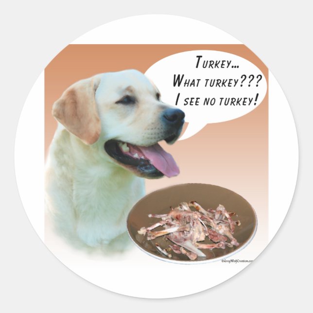 Sticker Rond Labrador Retriever (jaune) Turquie (Devant)