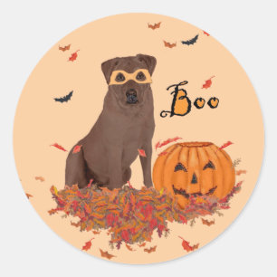 Sticker Rond Labrador Retriever marron Halloween