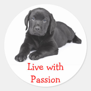 Sticker Rond Labrador Retriever Puppy Live With Passion Stick