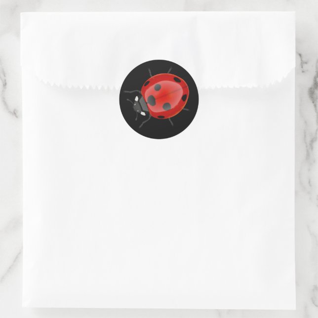 Sticker Rond Ladybug (Sac)