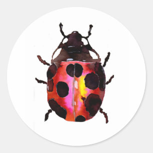 Sticker Rond Ladybug d'aquarelle
