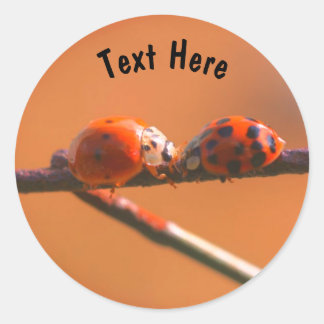 Sticker Rond Ladybug Friends Nature Personnalisé