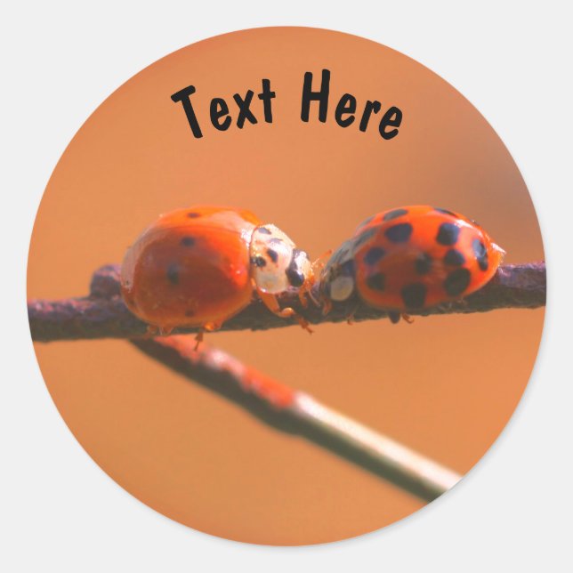 Sticker Rond Ladybug Friends Nature Personnalisé (Devant)
