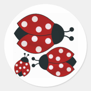 Sticker Rond Ladybugs