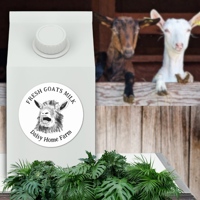 Sticker Rond Lait de chèvre drôle de chèvre qui hurle (Fresh goats milk custom business name black and white produce label with funny screaming goat art)