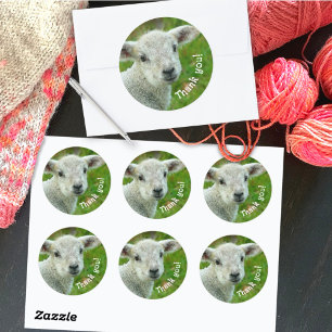 Sticker Rond Lamb Face Merci laine affaires