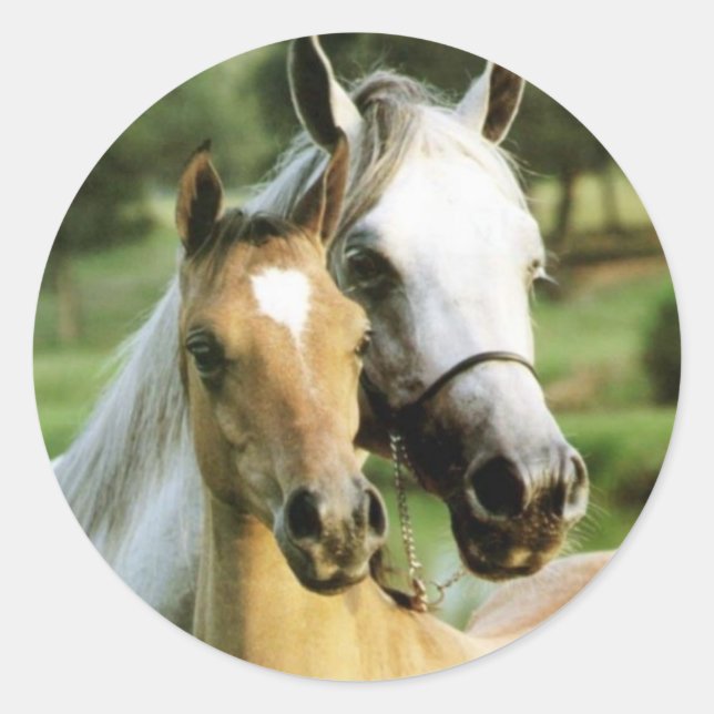 Sticker Rond L'amour de la mère (Devant)