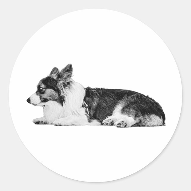 Sticker Rond Lamplight Guardian (Devant)