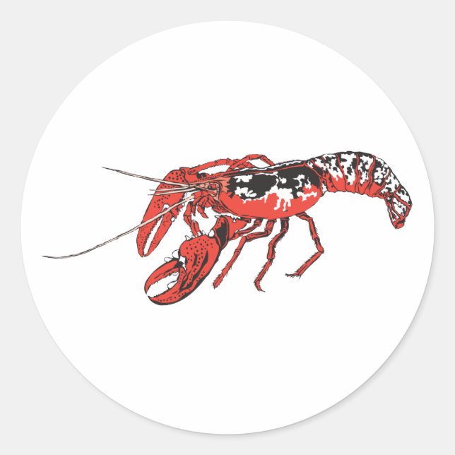 Sticker Rond langouste (Devant)