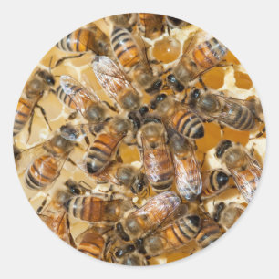 Sticker Rond L'apiculture à Arlo's Honey Farm