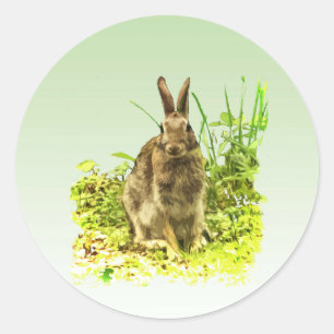 Sticker Rond Lapin adorable dans l'autocollant d'herbe