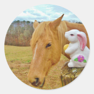 Sticker Rond Lapin blanc et cheval jaune blond