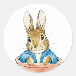 Sticker Rond Lapin de garenne