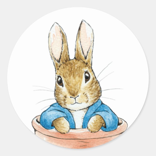 Sticker Rond Lapin de garenne (Devant)