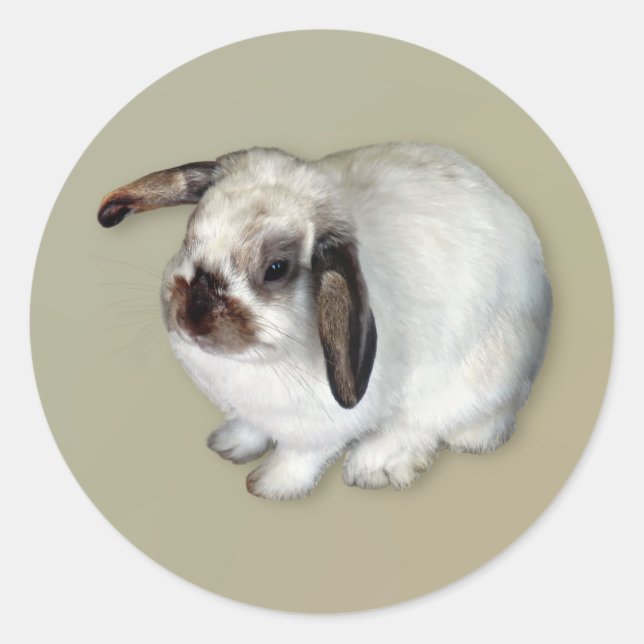 Sticker Rond Lapin Lop-Eared (Devant)
