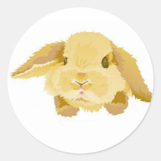 Sticker Rond Lapin Lop Eared
