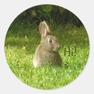 Sticker Rond Lapin mignon !