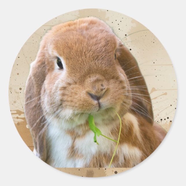 Sticker Rond Lapin Mignon Animal de Compagnie (Devant)
