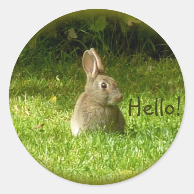Sticker Rond Lapin sauvage (Devant)