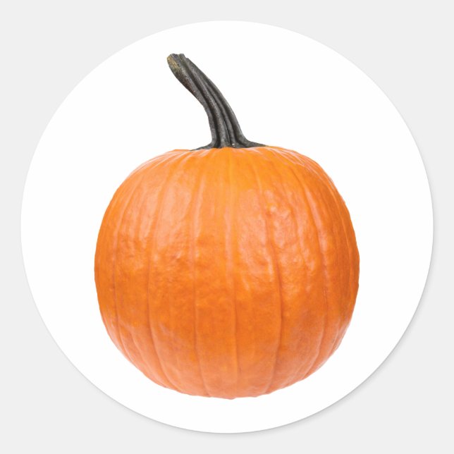 Sticker Rond Large Pumkin (Devant)