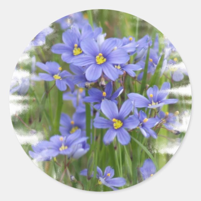 Sticker Rond Larkspur (Devant)