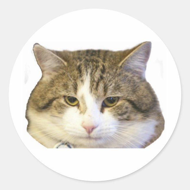 Sticker Rond Larry le visage de chat de la rue Downing (Devant)