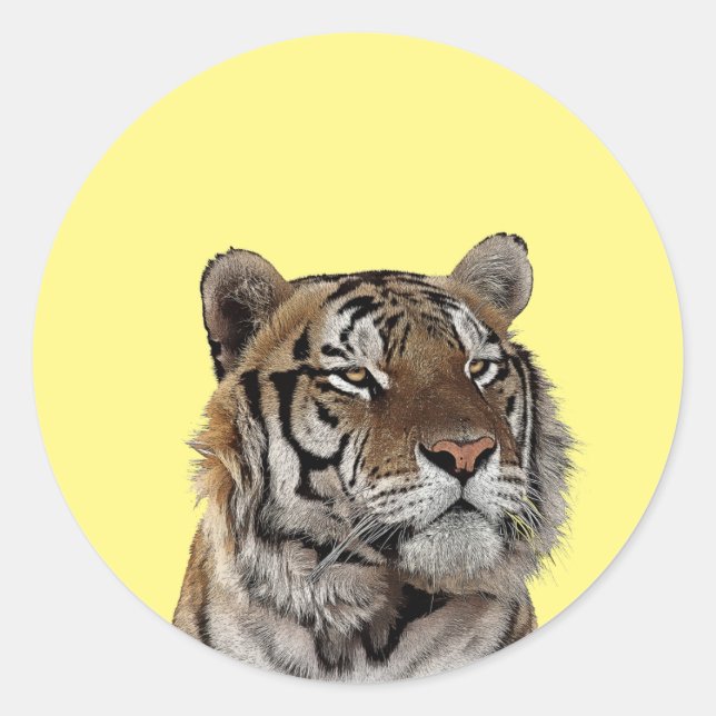 Sticker Rond l'art animal de la tête de tigre mâle (Devant)