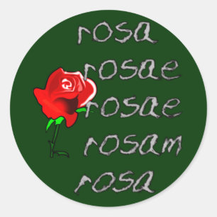 Sticker Rond Latein Rose Deklination rose latin déclinaison