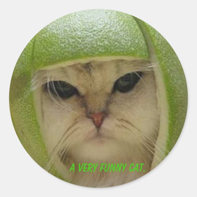 Sticker Rond L'autocollant drôle de chat. (Devant)