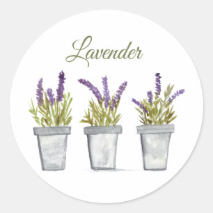 Sticker Rond Lavande Aquarelle Herbes Cuisine pourpre