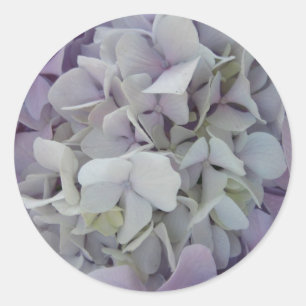 Sticker Rond Lavande/autocollant blanc d'hortensia