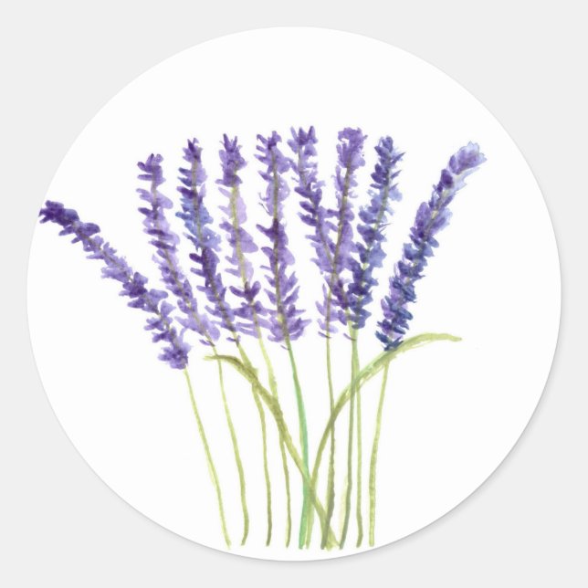 Sticker Rond Lavande d'aquarelle fleurs violettes herbes floral (Devant)
