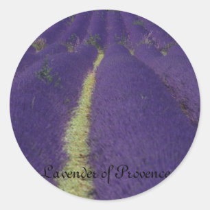 Sticker Rond Lavande de Provence