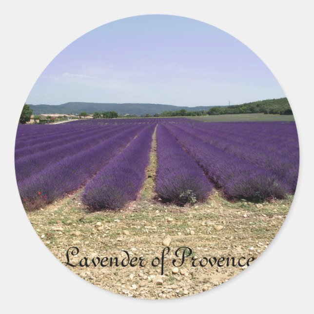 Sticker Rond Lavande de Provence (Devant)
