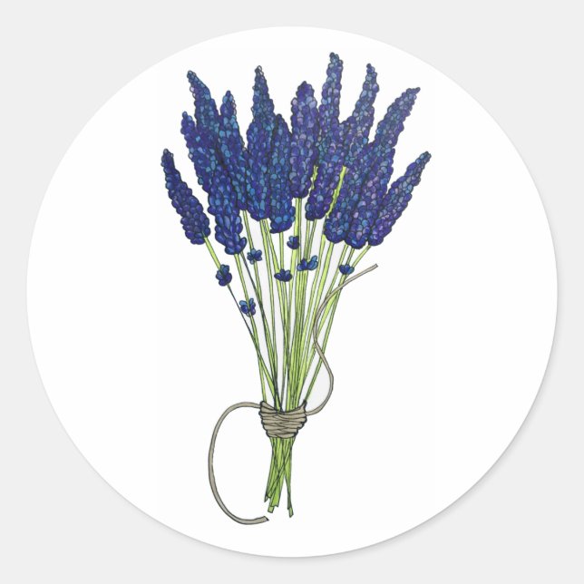 Sticker Rond Lavandula Lavender Bund Herbe Jardin Fleur Violet (Devant)