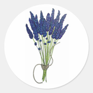 Sticker Rond Lavandula Lavender Bund Herbe Jardin Fleur Violet