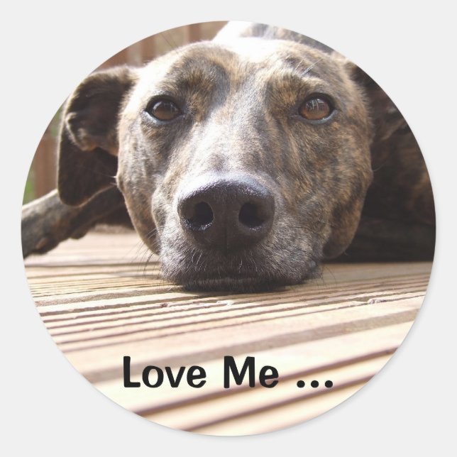 Sticker Rond Lazy Lurcher (Devant)