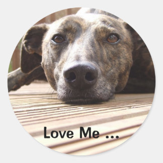 Sticker Rond Lazy Lurcher