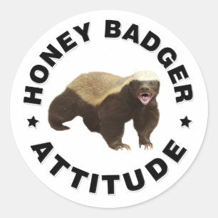 Sticker Rond Le blaireau de miel a une attitude