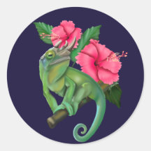 Le caméléon de Jackson avec Hibiscus