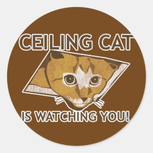 Sticker Rond Le chat de Celing vous observe !