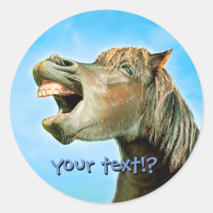 Sticker Rond Le cheval riant
