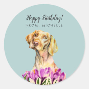 Sticker Rond Le chien de Vizsla fleurit le joyeux anniversaire